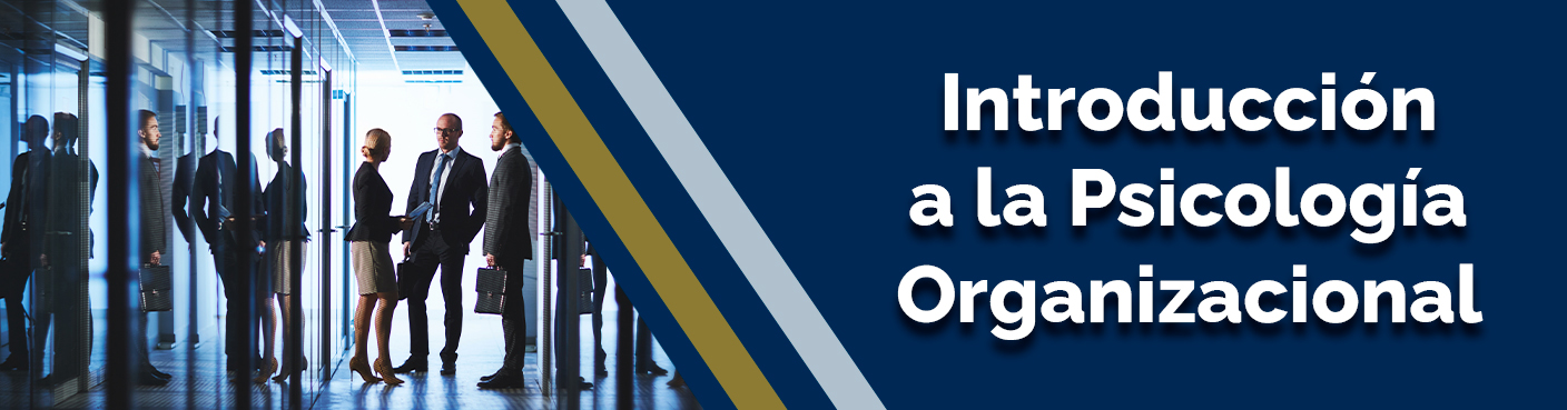 Introducción a la Psicología Organizacional