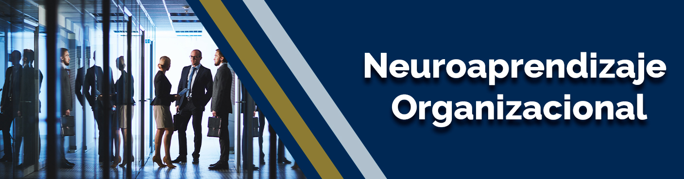 Neuroaprendizaje Organizacional