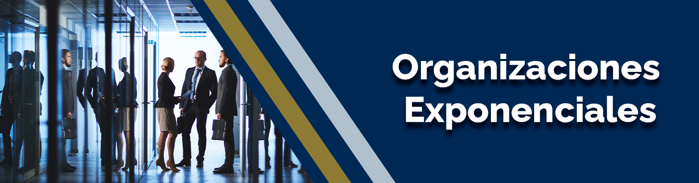 Organizaciones Exponenciales