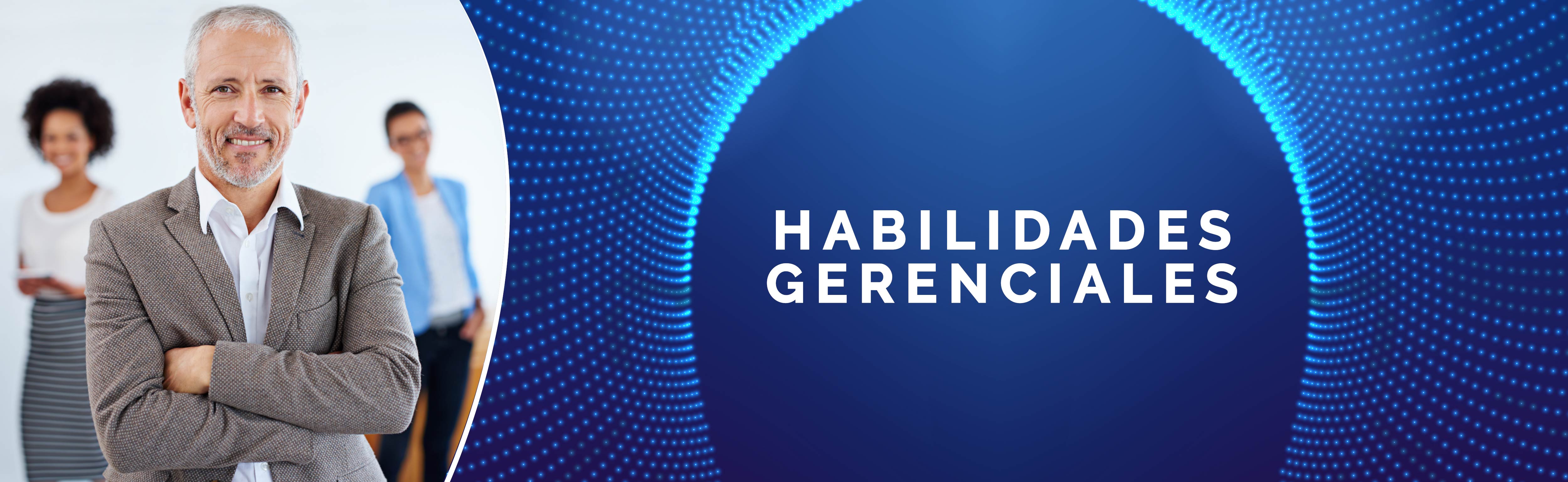 Habilidades Gerenciales