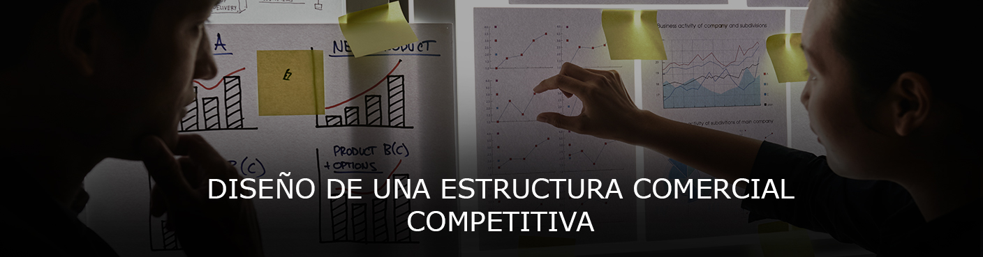 Diseño de una Estructura Comercial Competitiva