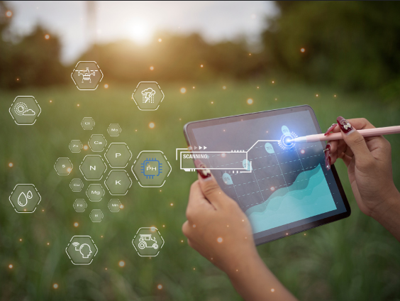 Herramientas de Medición y Reporte de Sostenibilidad