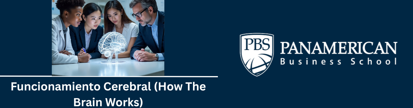 Funcionamiento Cerebral (How The Brain Works)