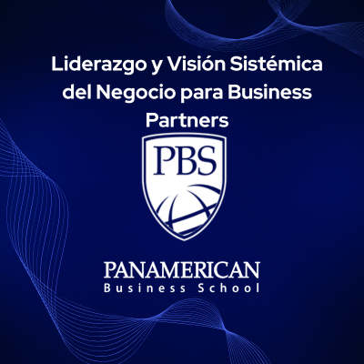 Liderazgo y Visión Sistémica del Negocio para Business Partners