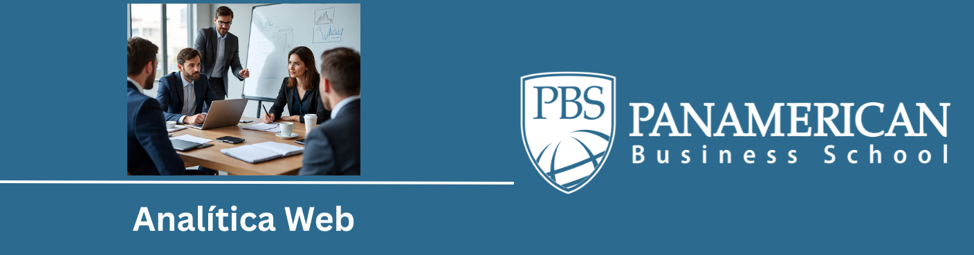 Analítica Web