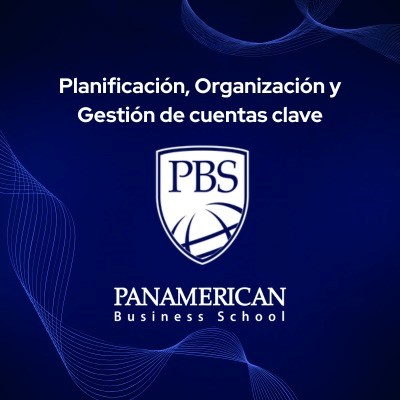 Planificación, Organización y Gestión de cuentas clave
