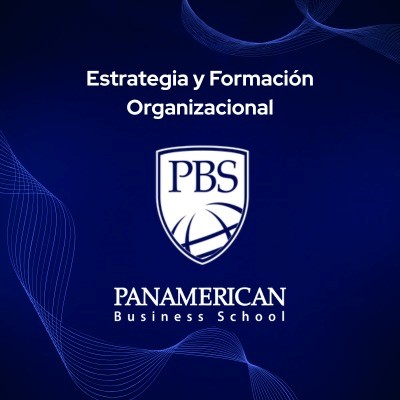 Estrategia y Formación Organizacional 