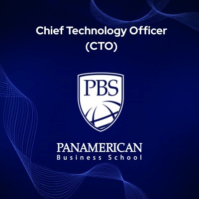Chief Technology Officer (CTO)