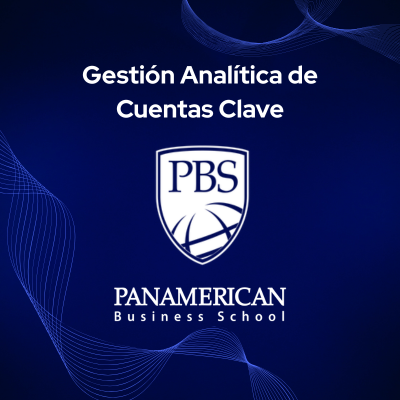 Gestión Analítica de Cuentas Clave 