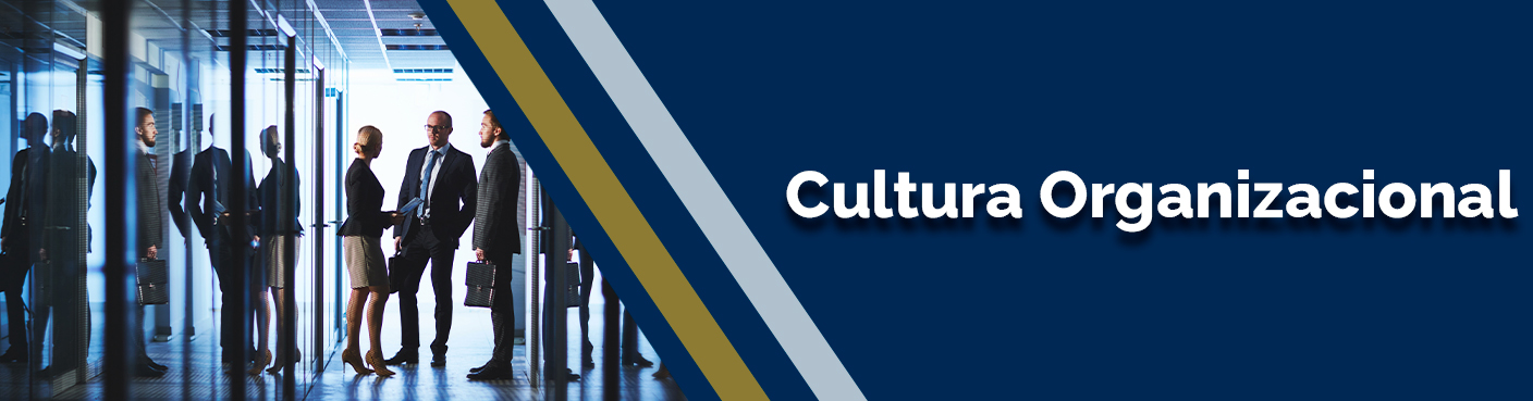 Cultura Organizacional