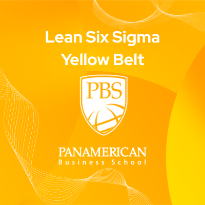 Yellow Belt