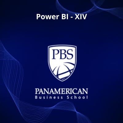 Power BI - XIV