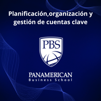 Planificación, organización y gestión de cuentas clave 