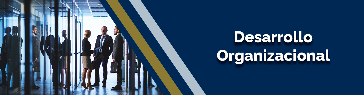 Desarrollo Organizacional