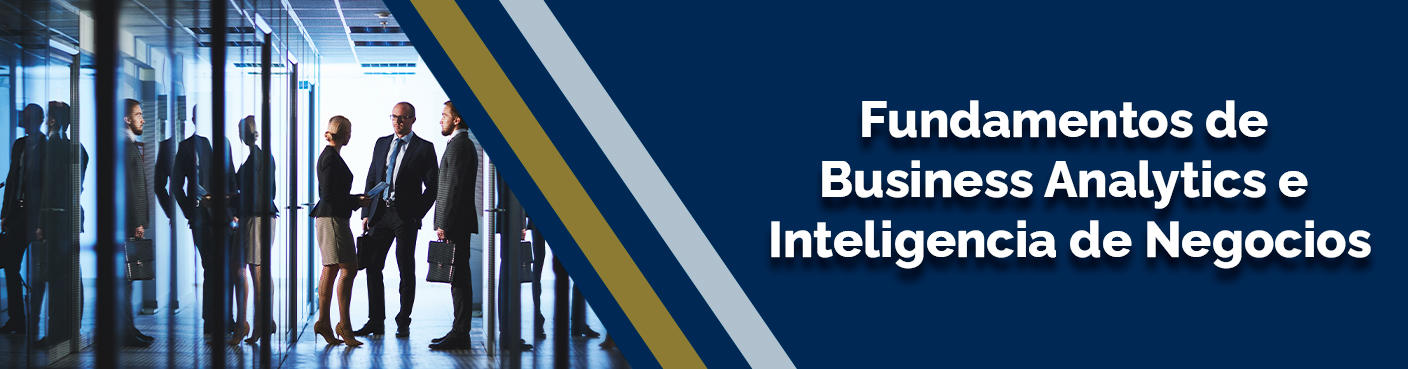Fundamentos de Business Analytics e Inteligencia de Negocios