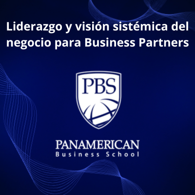 Liderazgo y visión sistémica del negocio para Business Partners 