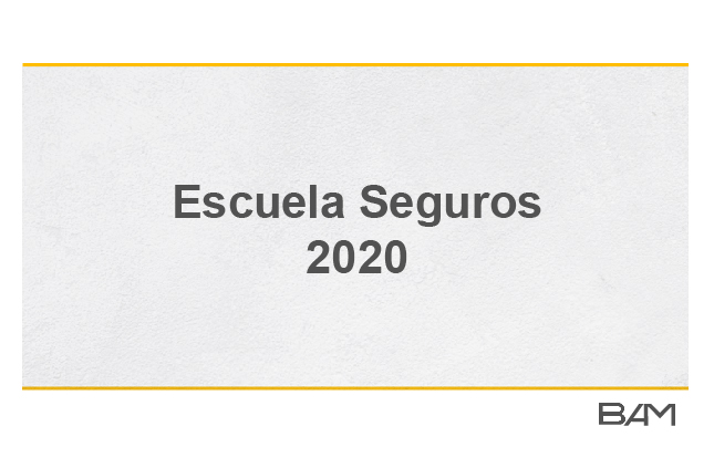 BAM - Escuela Seguros 2020