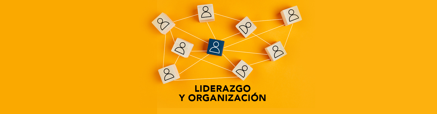 Liderazgo y Organización 