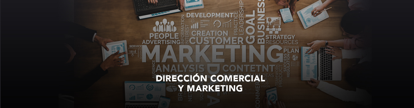 Dirección Comercial y Marketing 