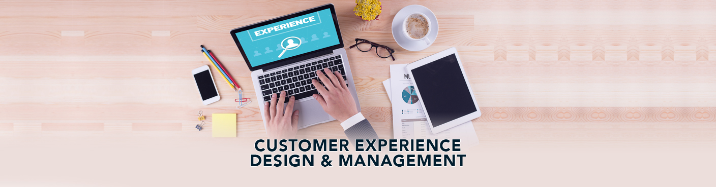 Customer Experience Design &amp; Management 