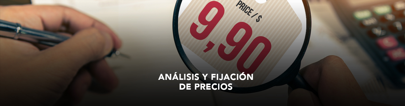 Análisis y Fijación de Precios