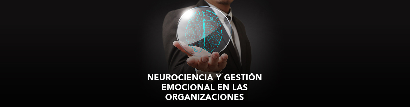 Neurociencia y Gestión Emocional en las Organizaciones