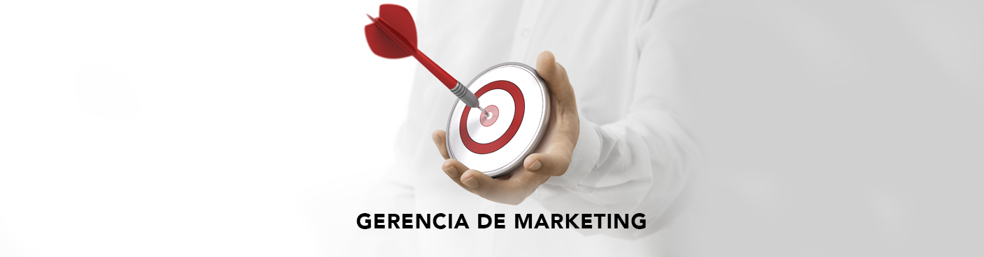 Gerencia de Marketing