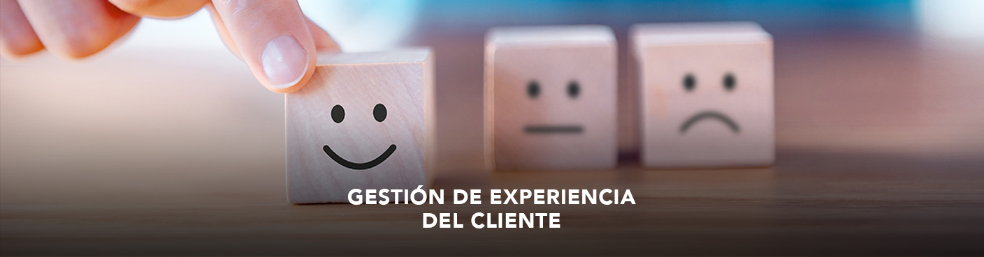 Gestión de la Experiencia del Cliente