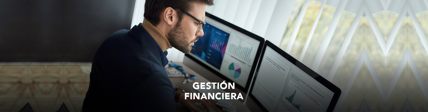 Gestión Financiera