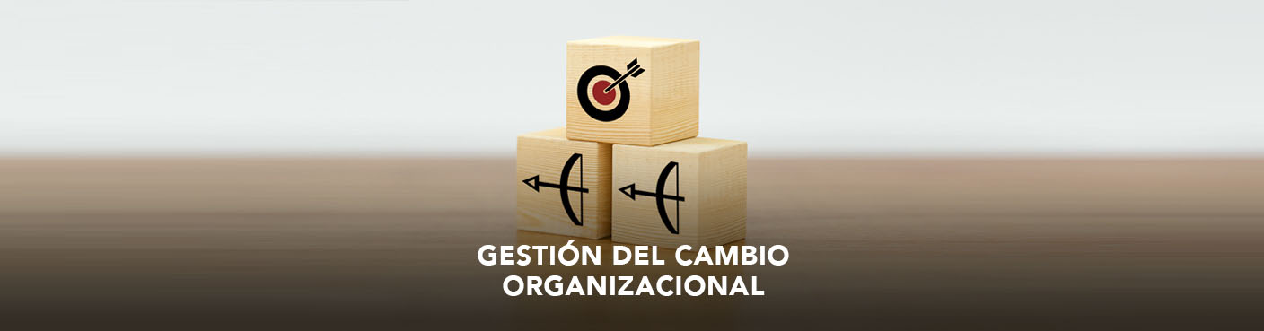 Gestión del Cambio Organizacional