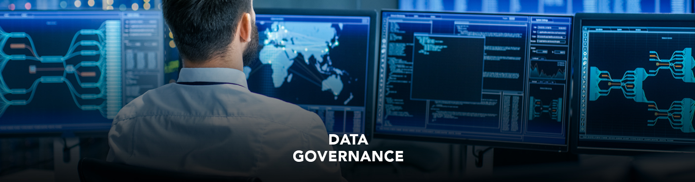 Data Governance 