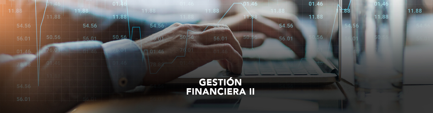 Gestión Financiera II