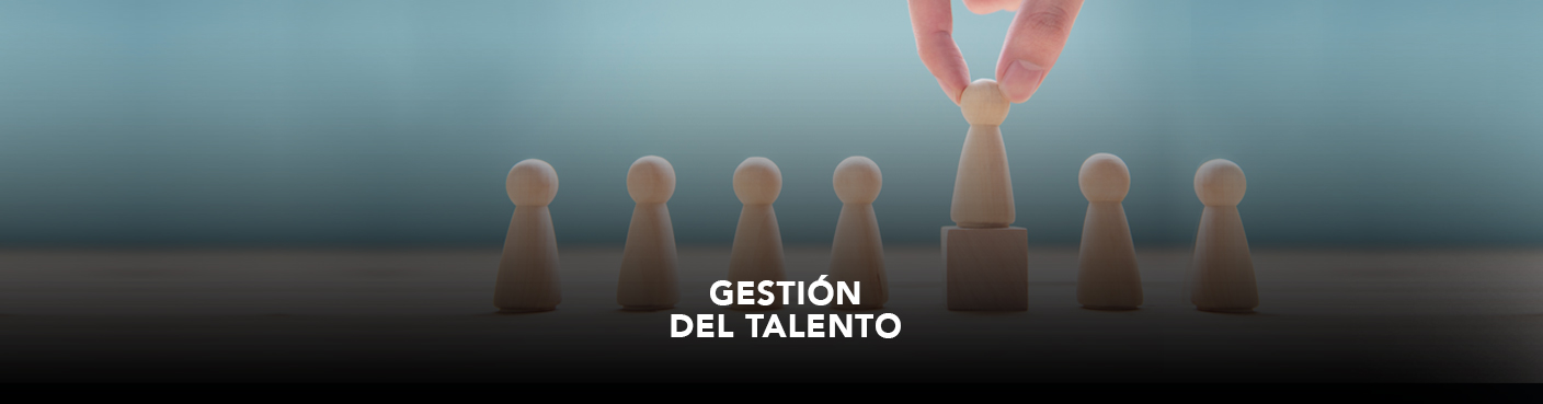 Gestión del Talento