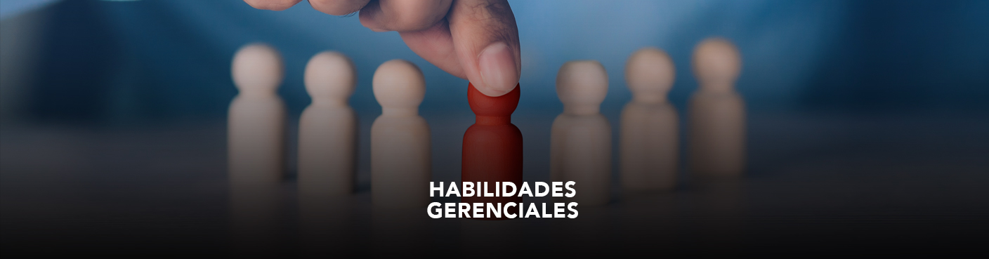 Habilidades Gerenciales