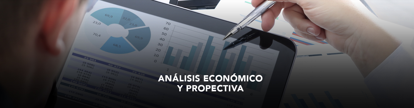 Análisis Económico y Prospectiva