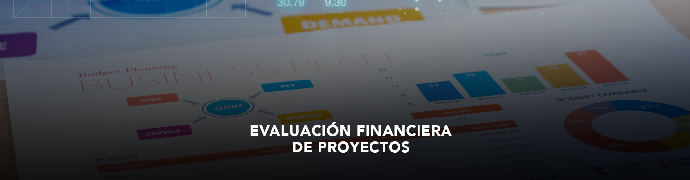 Evaluación Financiera de Proyectos