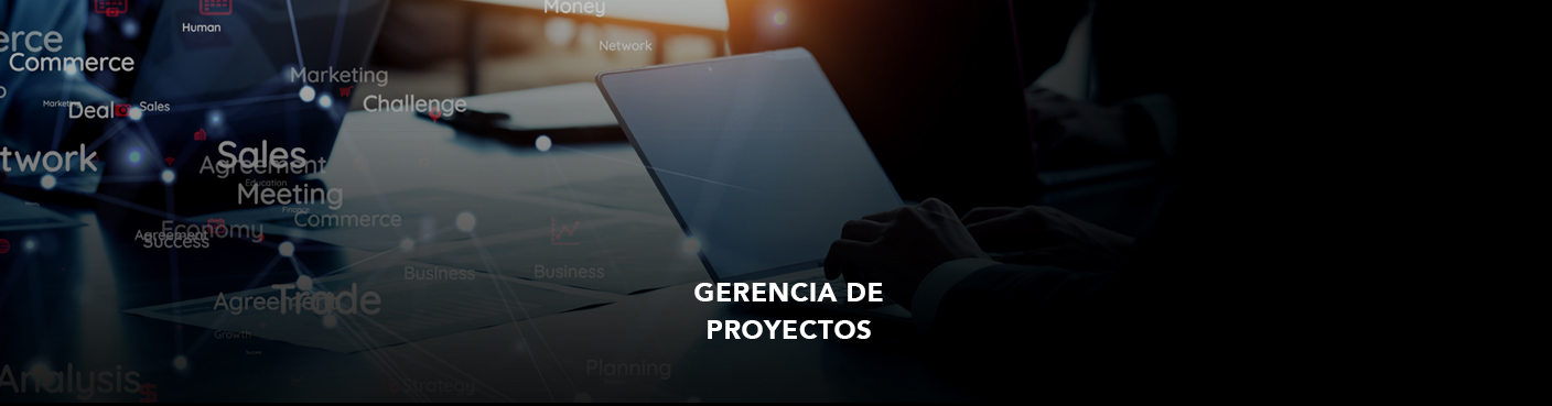 Gerencia de Proyectos