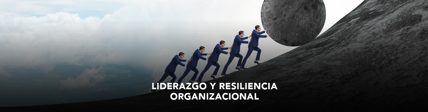 Liderazgo y Resiliencia Organizacional 