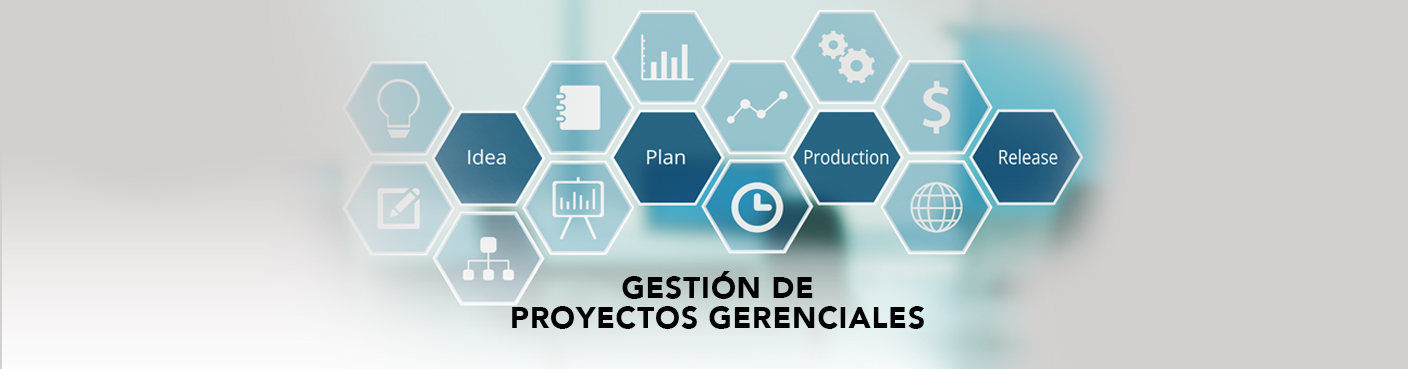 Gestión de Proyectos Gerenciales