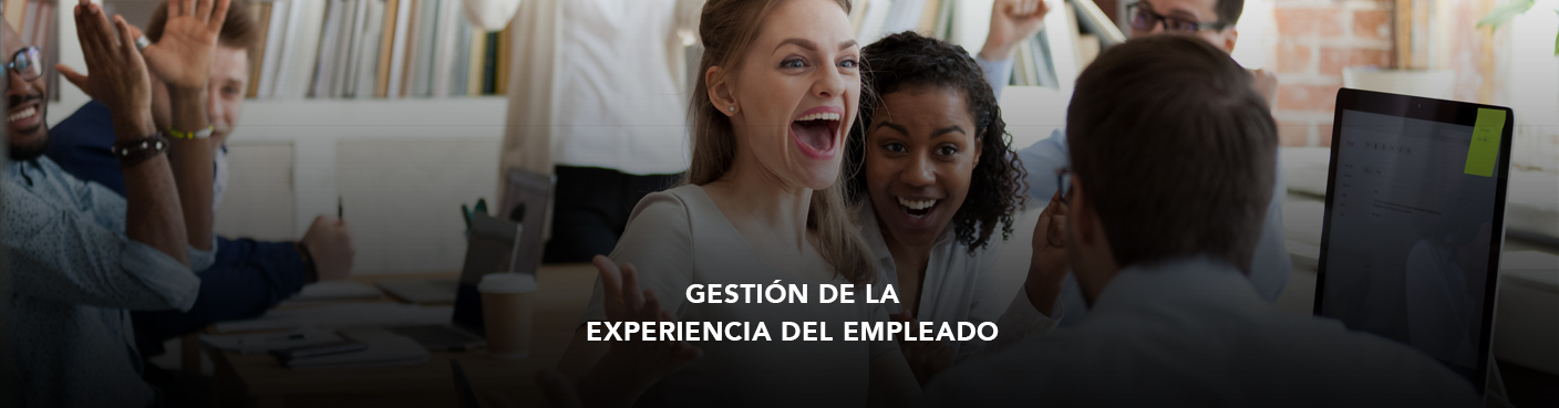 Gestión de la Experiencia del Empleado