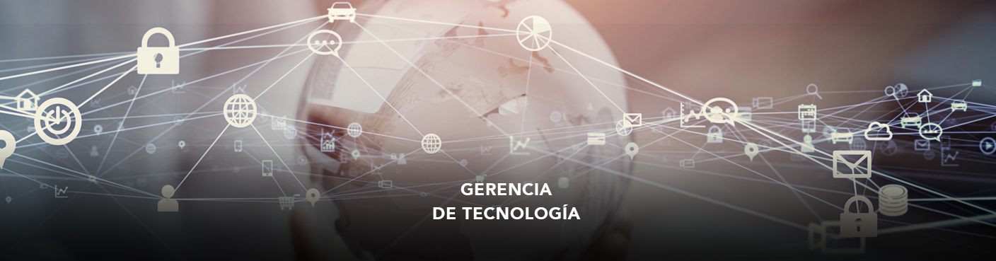 Gerencia de Tecnología