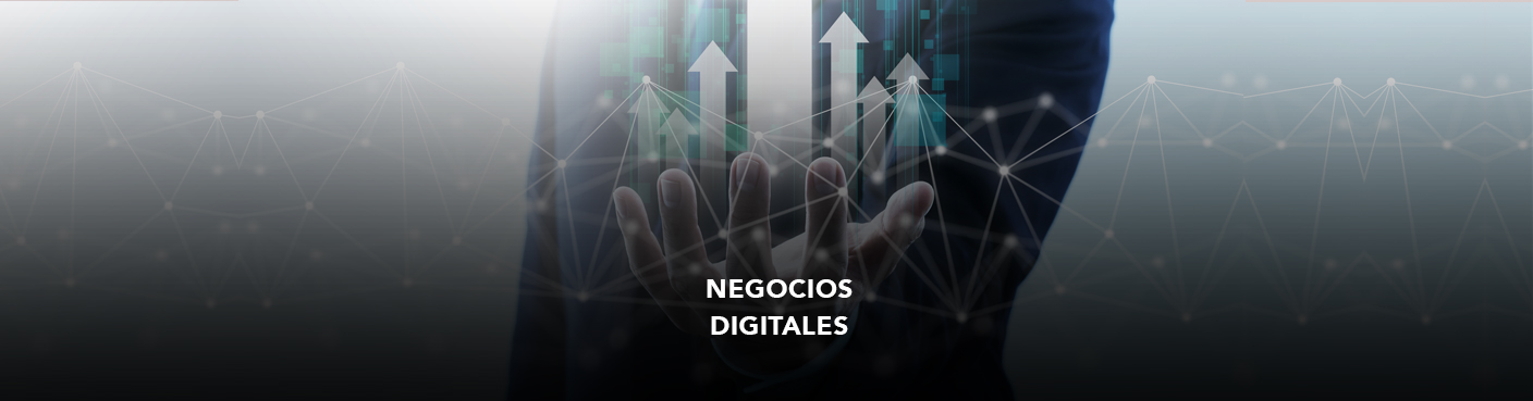 Negocios Digitales